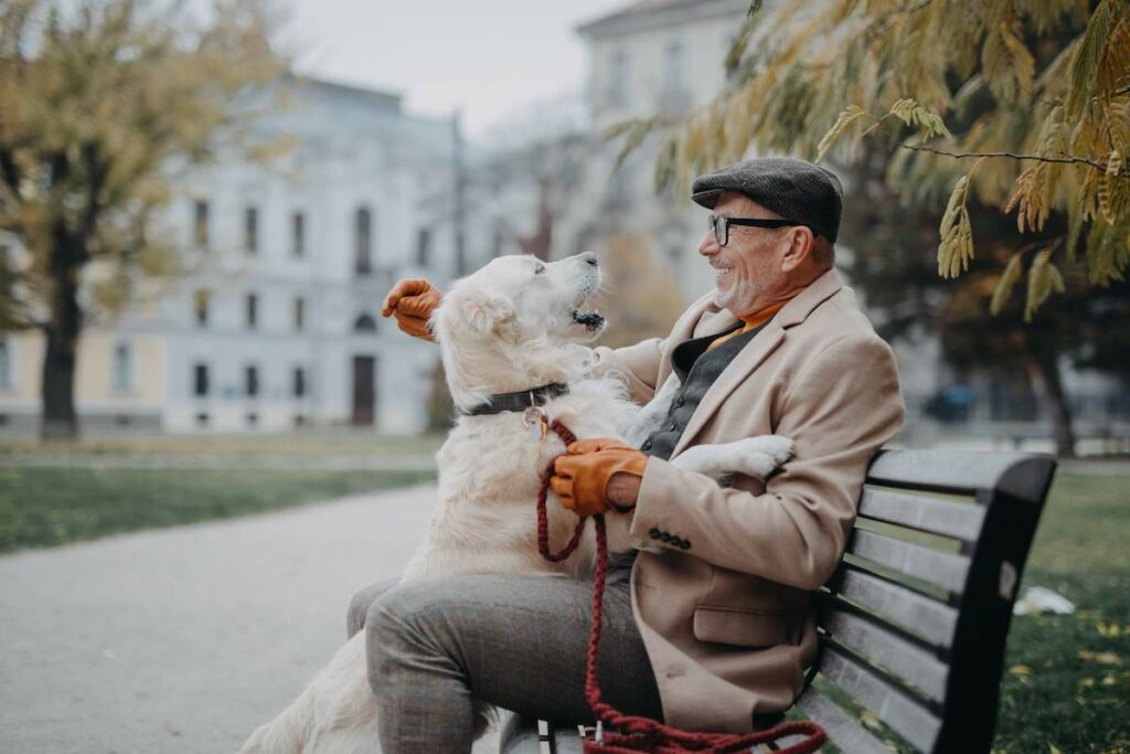 HappySeniorManSittingOnBenchAndRestingDuringDog